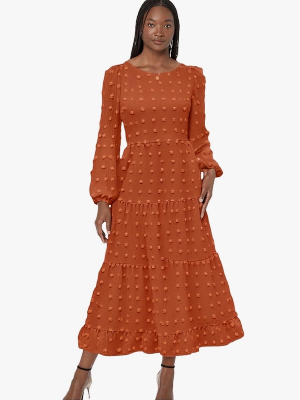 NWOT Swiss Dot Tiered A-line Long-Sleeve Maxi Dress in Rust - Size Small